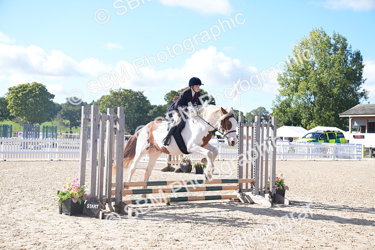 SBM_02393 - J54 Clear Round 45cm