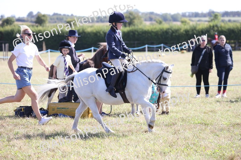 20260906-2220 - Class 16 - Family Pony