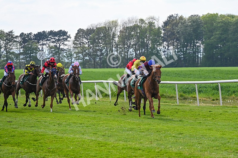 020526-Race 7-Rising Force-0236 - Race 7 5.00pm Sky Bet Irish Day Saturday 16th May Book Now Handicap