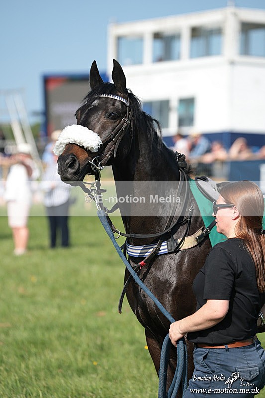 PR 250526 67 - Pony Racing from Chaddesley Corbett 25/05/26