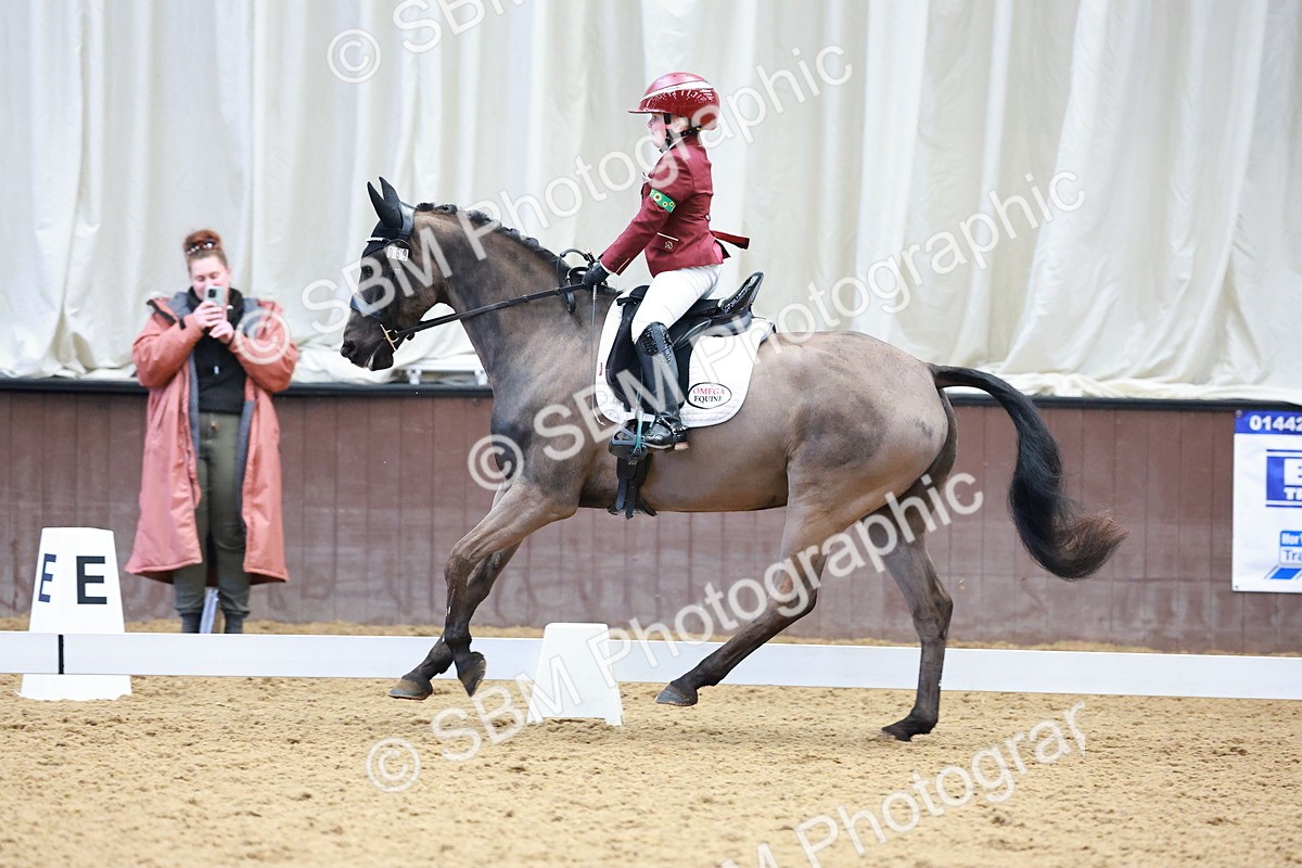 0B8A3902 - Class 3-6-9 - Prel Nov Ele - FSM