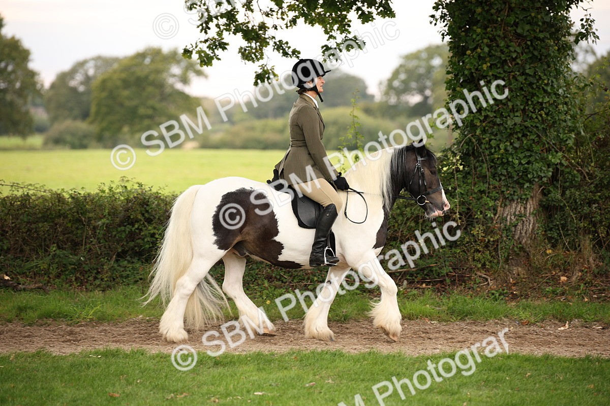SBM_73429 - S68 - Traditional Cob Ridden