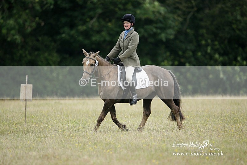 BVRC 030721 345 - Bourne Valley Riding Club Dressage 03/07/21