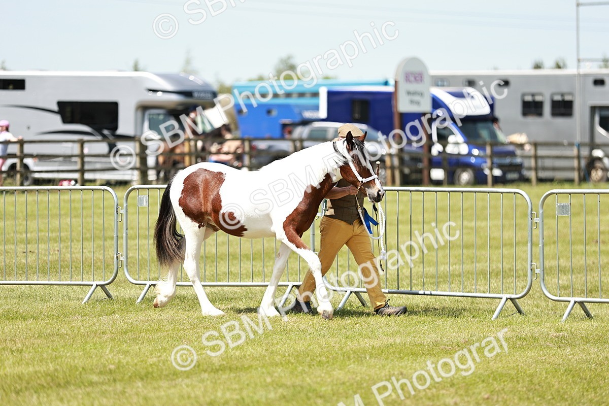 SBM_05484 - Class 41-45 - Riding Pony-Hunter Pony Breeding
