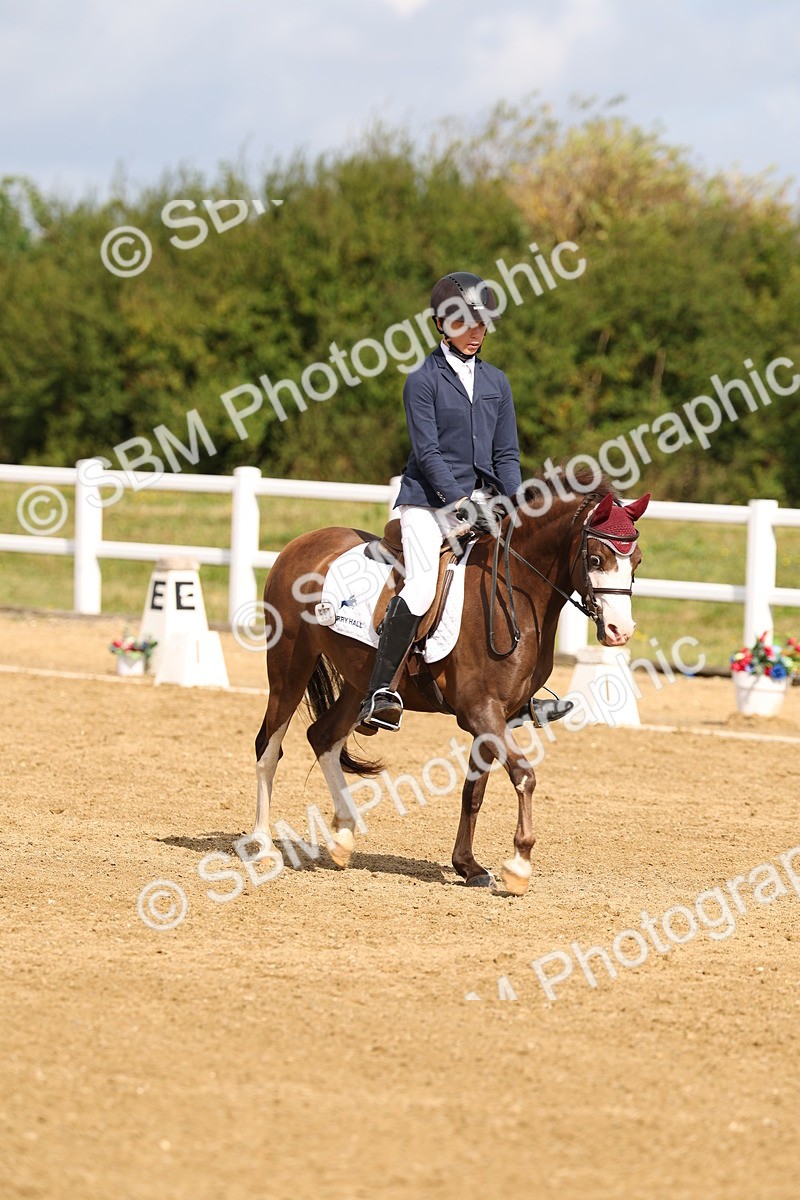 SBM_011519 - Class 1 - Prelim 19 - 10.50-11.46