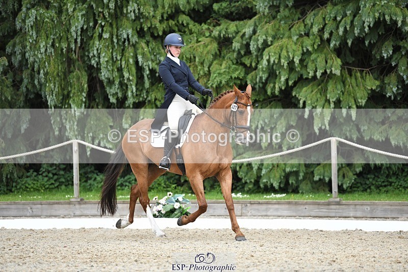 230525-144306-03163 - 323-CHESTNUT_BOBBY-Molly_Fletcher-WEDTrotUp+DR