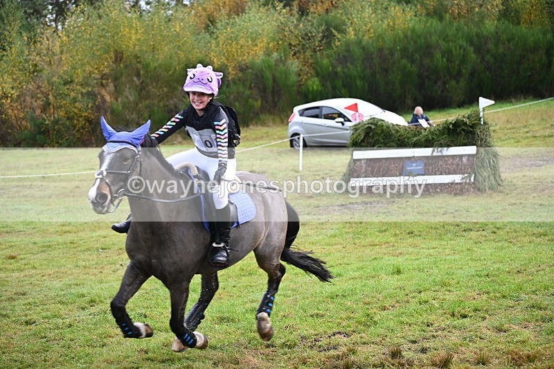 WJ6_1777 - 80cm Cam 1 Time 10:08 to 10:45