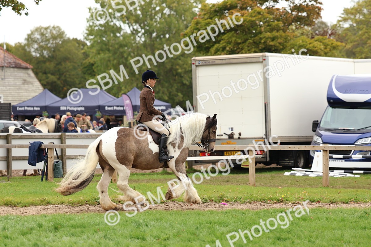 SBM_64491 - S58 - Coloured Pony Ridden