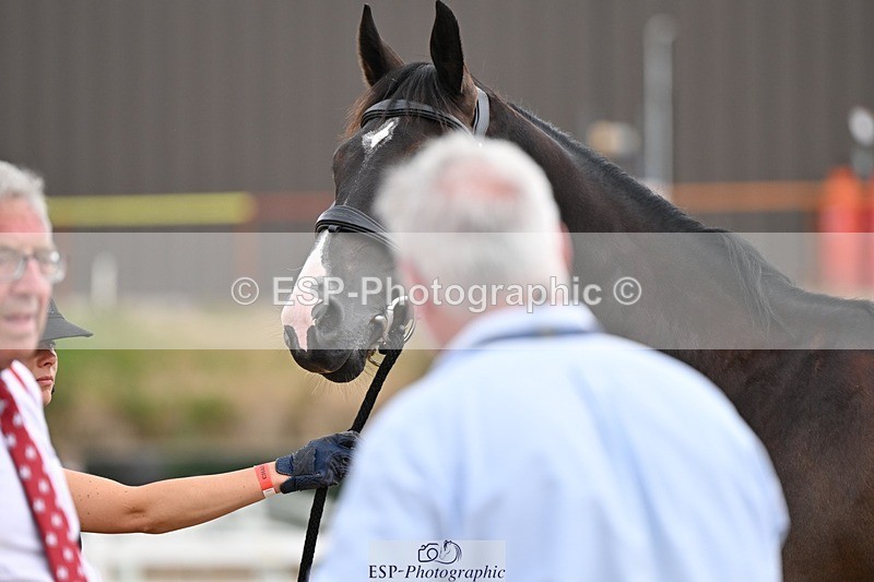 250716-145823-01564 - Trot Up 2.30 to 3.30