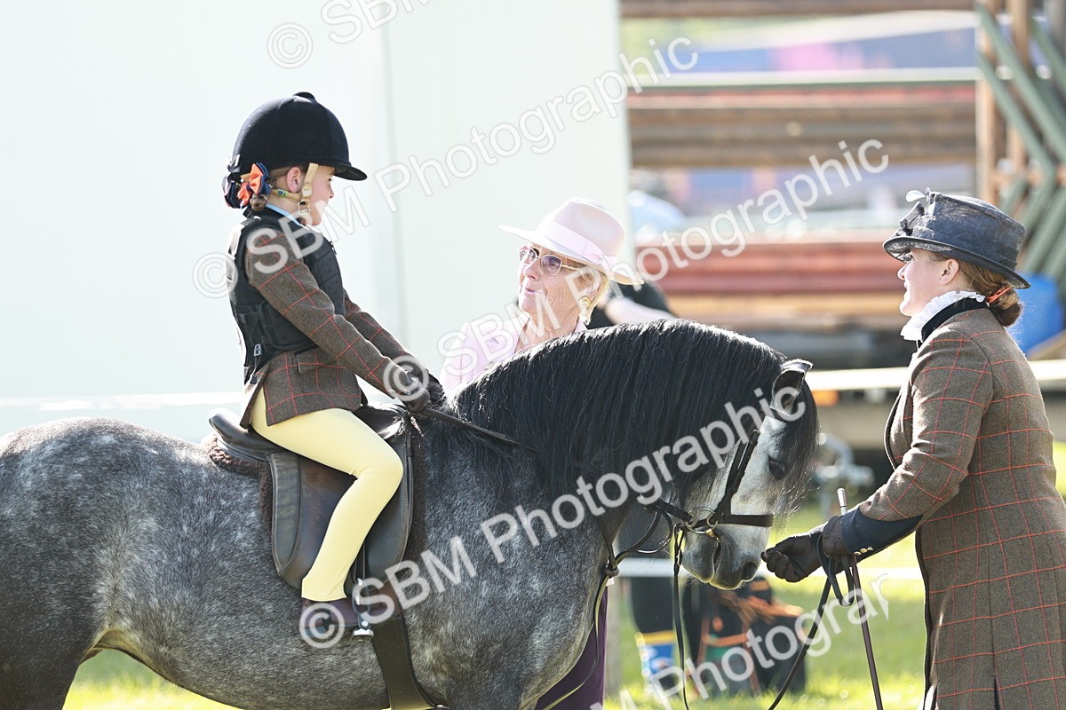 SBM_11217 - Class 106-107 - BSPS LIHS Working Sports Pony