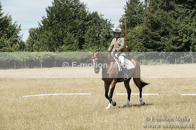 _PJP5873 - Dressage Classes BVRC Show 2018