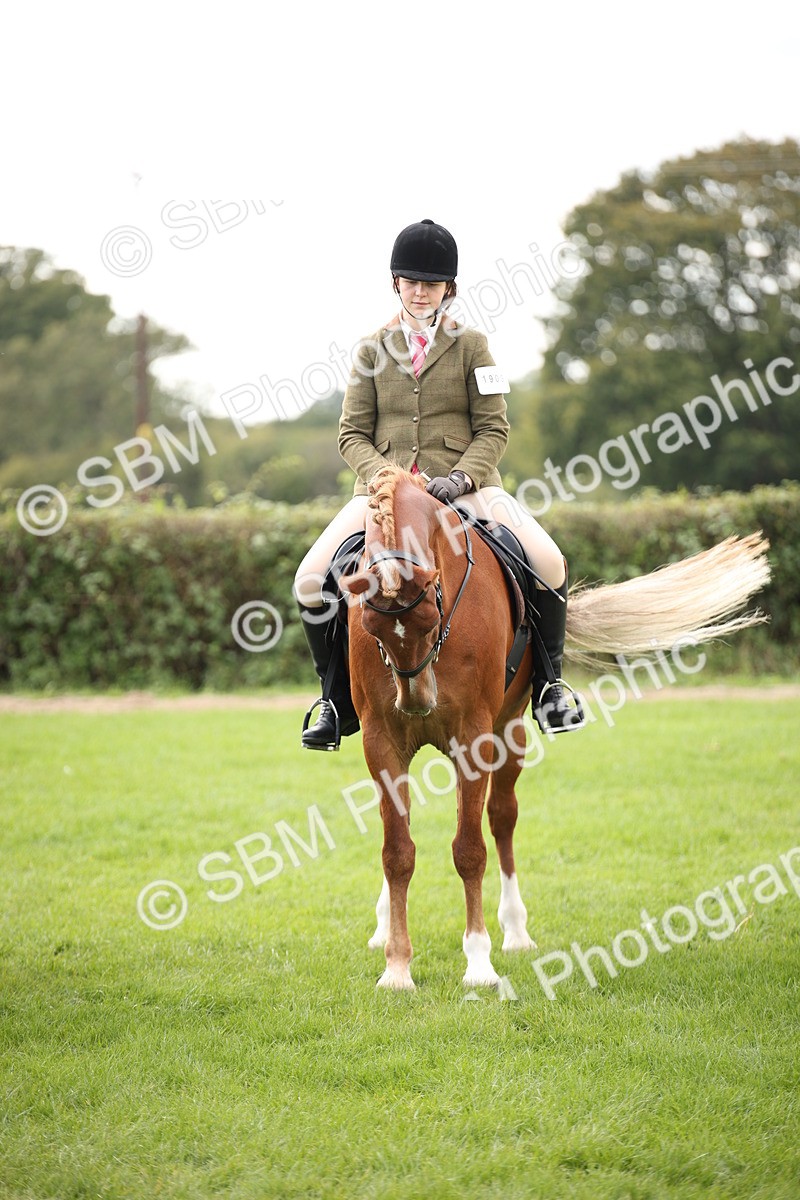 SBM_50000 - S26 - Young Veteran - Ridden