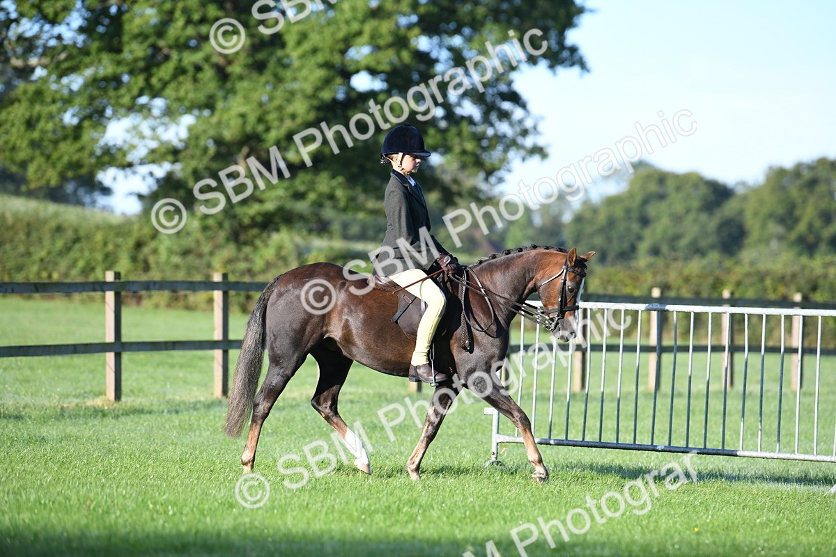 SBM_33932 - S16 - Condition & Turnout - Ridden