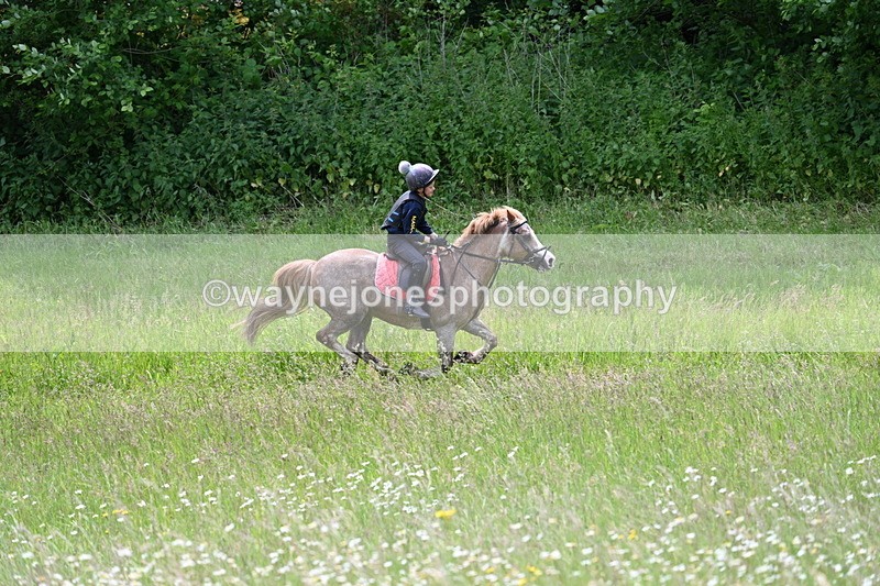 WJ7_8735 - Group 3 10:45am