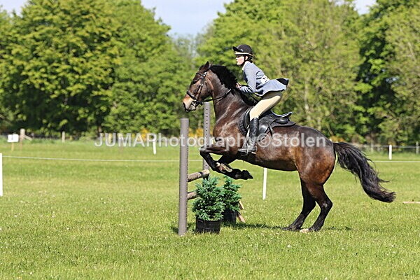 IMG_4531 - Working Hunter