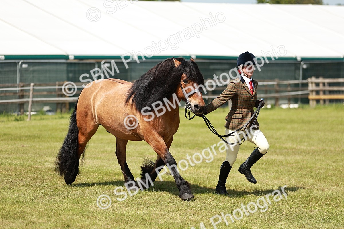 SBM_07158 - Class 26-30 - Mountain and Moorland Ridden