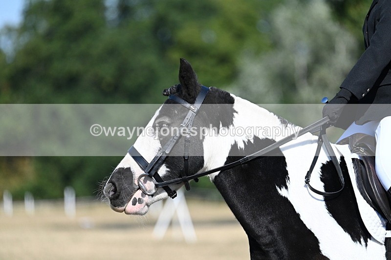 WJ7_9348 - Time 10:08 to 10:13