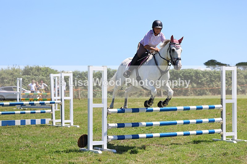 3E7A5646 - Class 9: Senior British Novice/90cm open