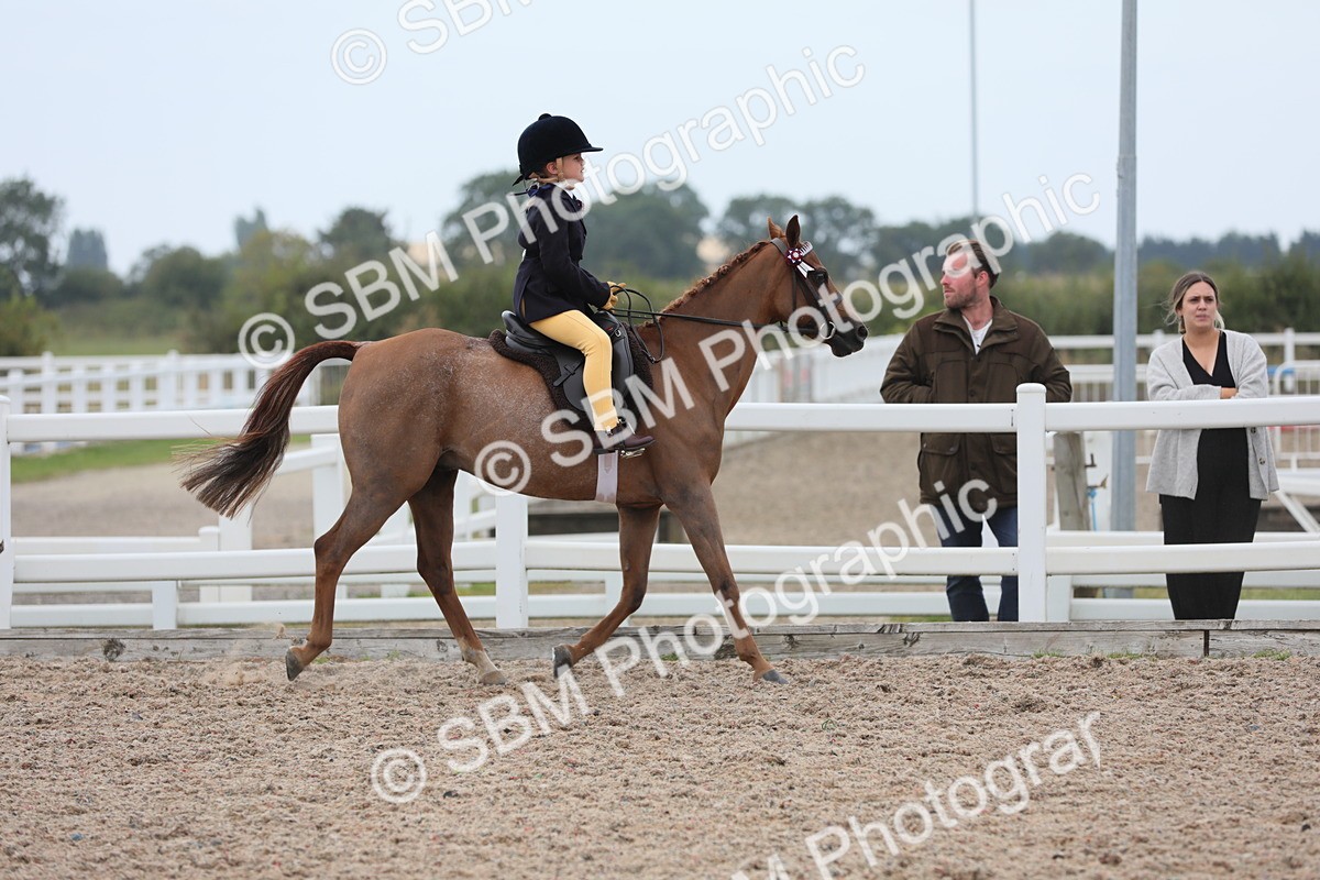 SBM_18038 - Class 316 Best Pony/Rider Combination