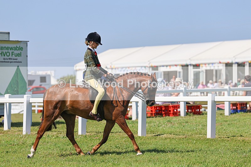 IMG_2123 - Plaited Ridden Championship
