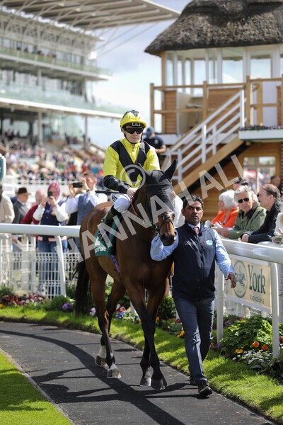 yr12052022r3-2 - Race 3 3.00pm The Paddy Power Hambleton Stakes