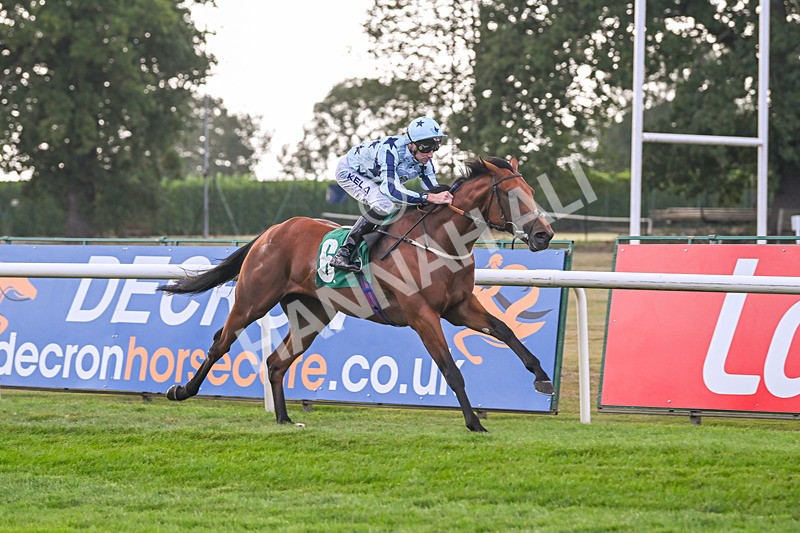 150825-Race 2-Hasbro Market-2538 - Race 2