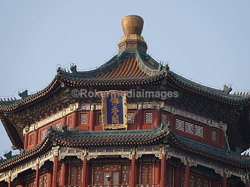 CHINA__1302 - China 2019