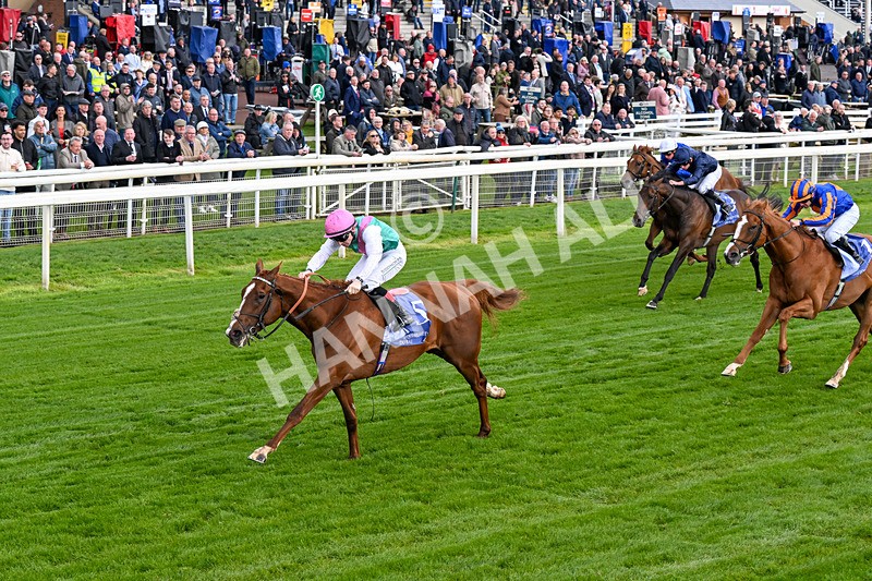 140526-Race 5-Item-0277 - Race 5 4.05pm Al Basti Equiworld Dubai Dante Stakes