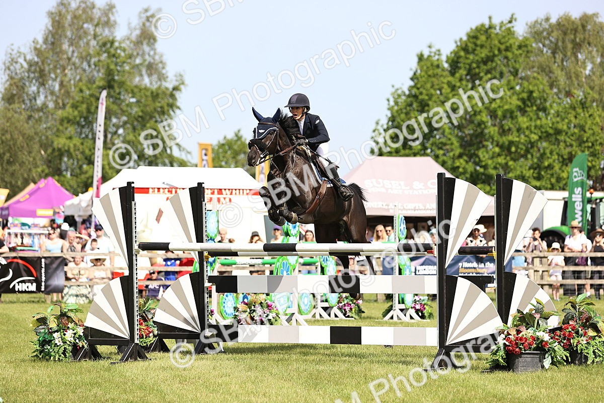 SBM_03057 - Class 201 - British Horse Feedds Speedi Beet HOYS Grade C