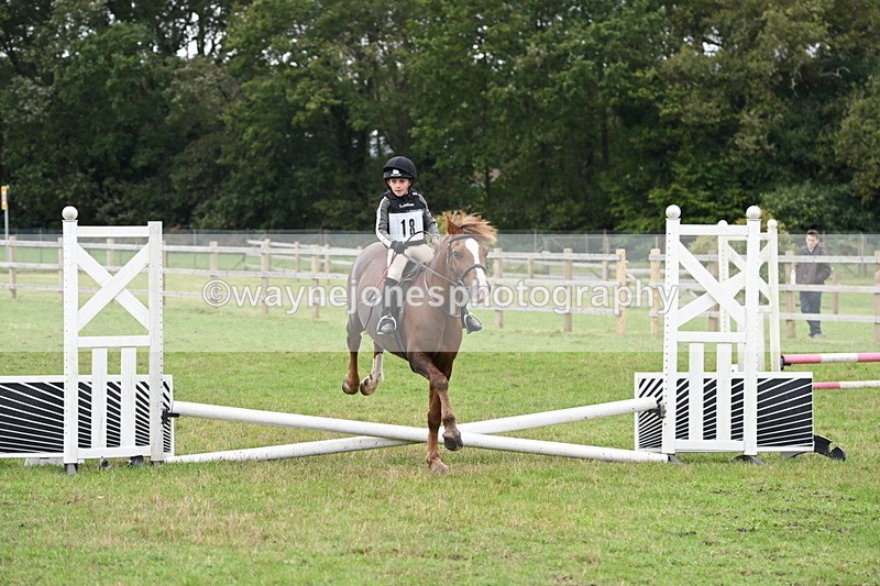 WJ6_0278 - 40cm Time 10:00 to 10:28