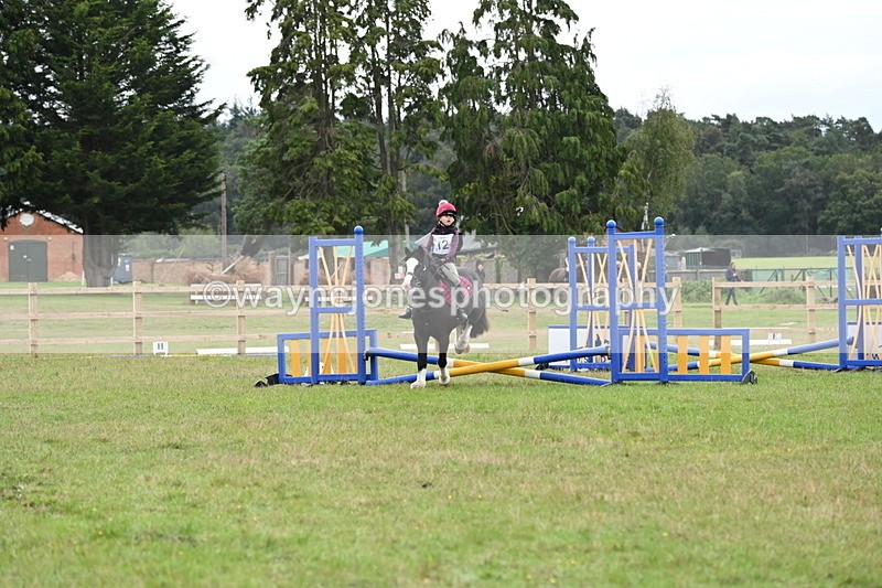 WJ6_0188 - 40cm Time 10:00 to 10:28