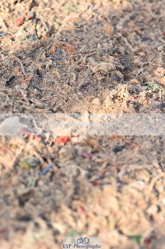 231029A-122926-03308 - Pony Foxhunter & 1.10m Open