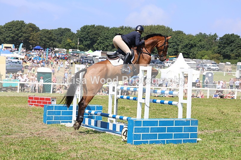 3E7A3334 - Class 10: Senior Foxhunter/1.20 open