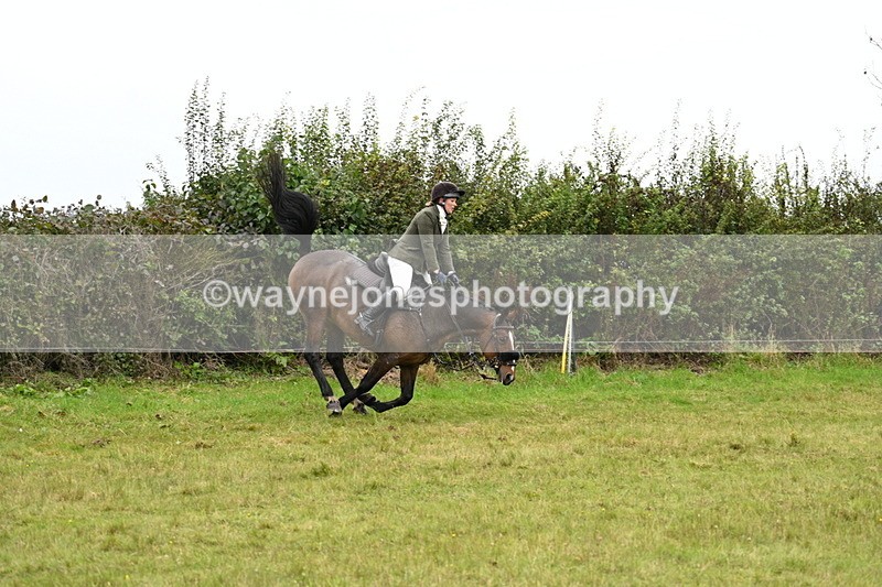 WJ7_4267 - Camera 1 Line 2