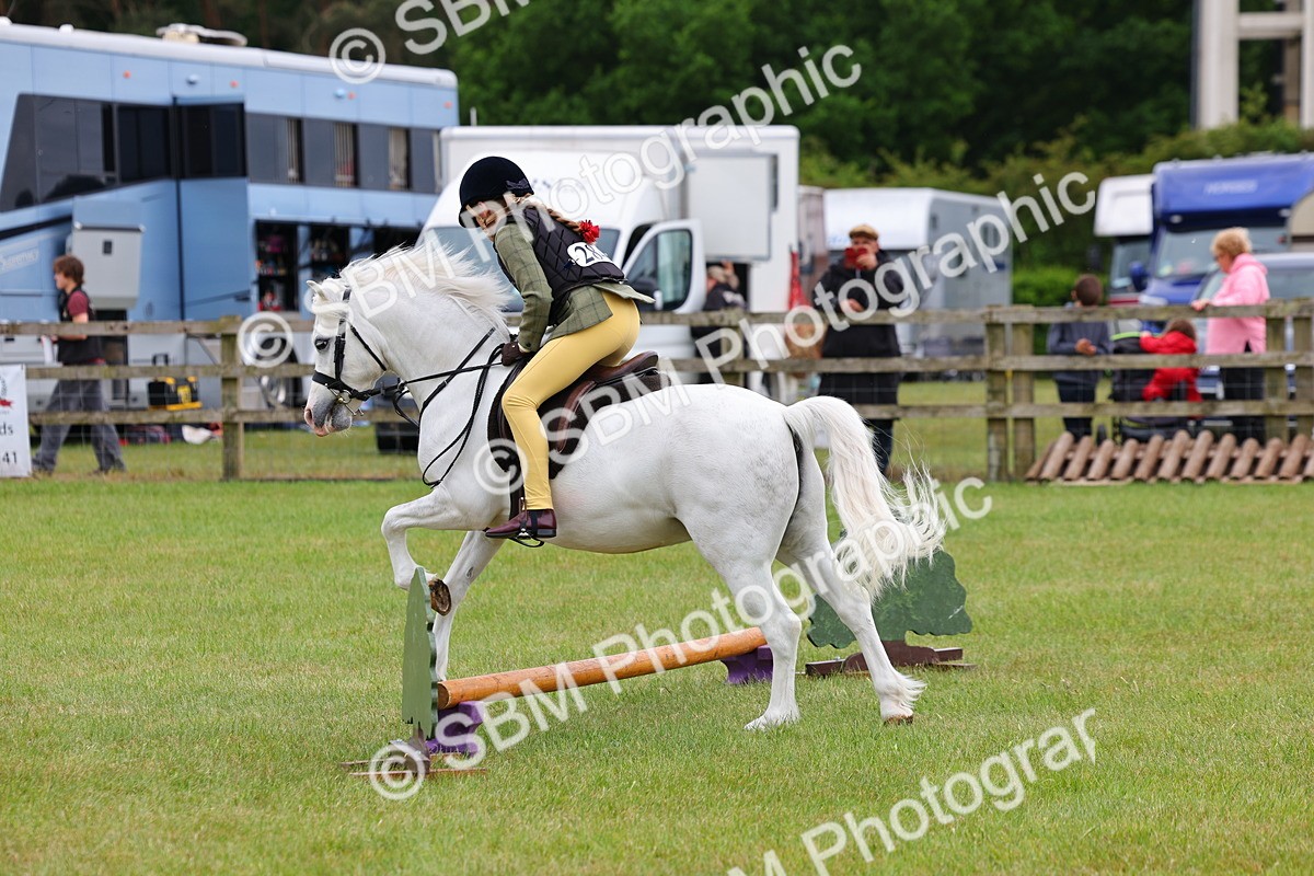 SBM_08757 - Class 42-43 - LIHS BSPS Heritage Working Sports Pony