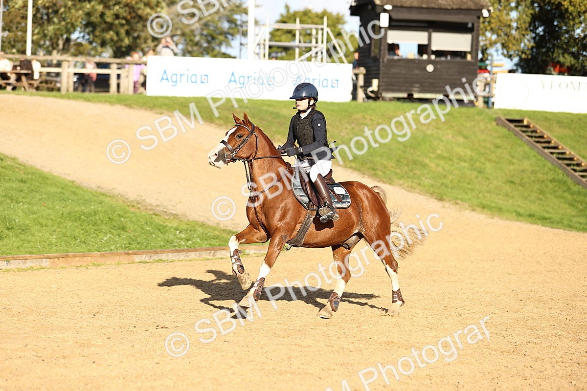 SBM_51905 - J10 - Junior Pony 75cm Championship