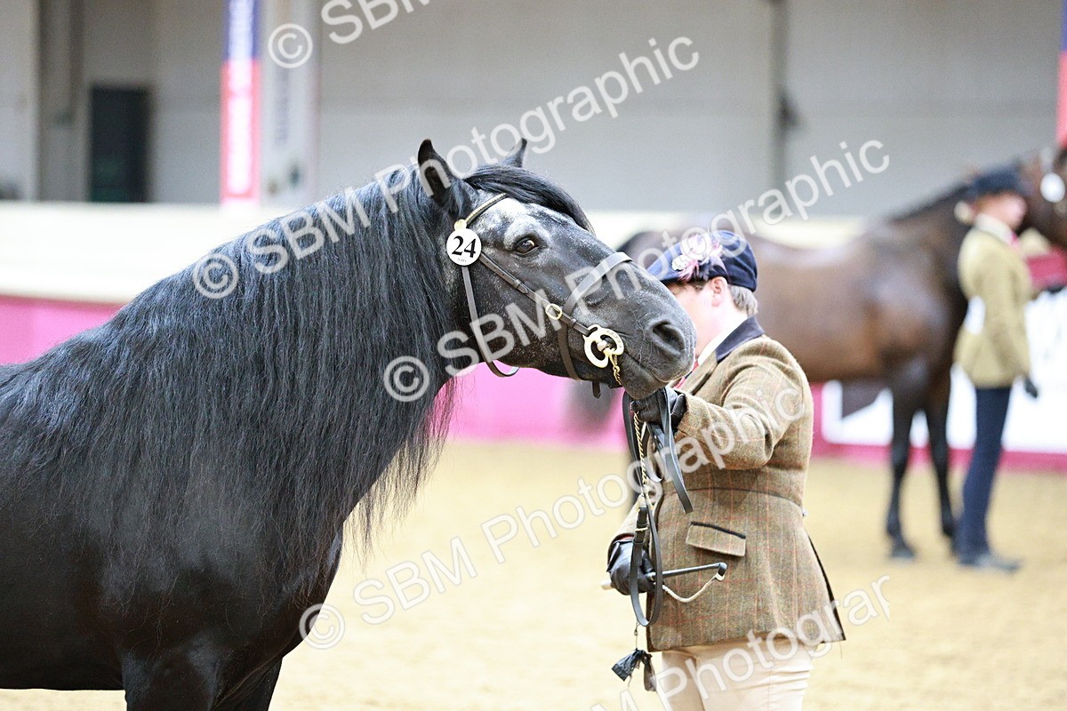SBM_00973 - Class 2A - Area IH Veteran