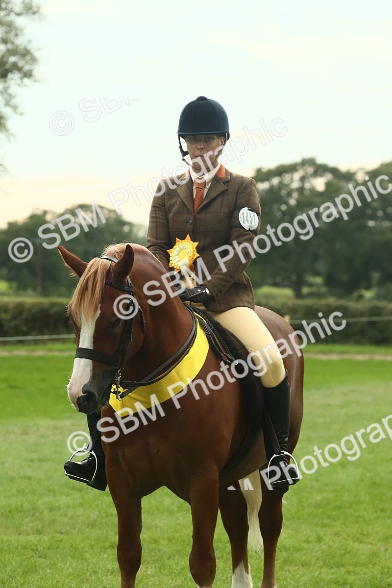 SBM_75060 - Ridden Pony Supreme Championship