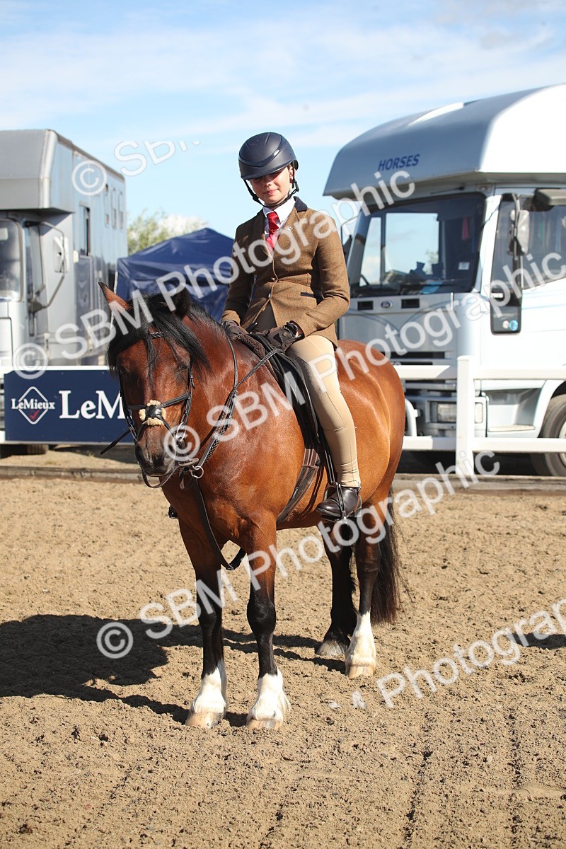 SBM_12768 - Class 504b - Junior Working Veteran - 40cm (20+)