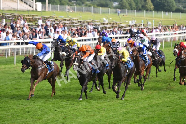 yr10072021r7-12 - Race 7: 5.15pm John Smith's Stakes