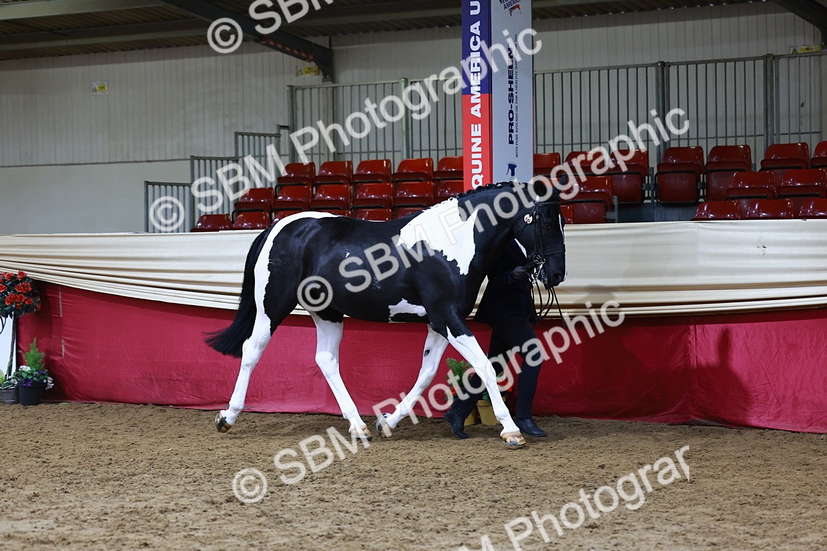 SBM_23033 - Supreme Final - IH  Champ