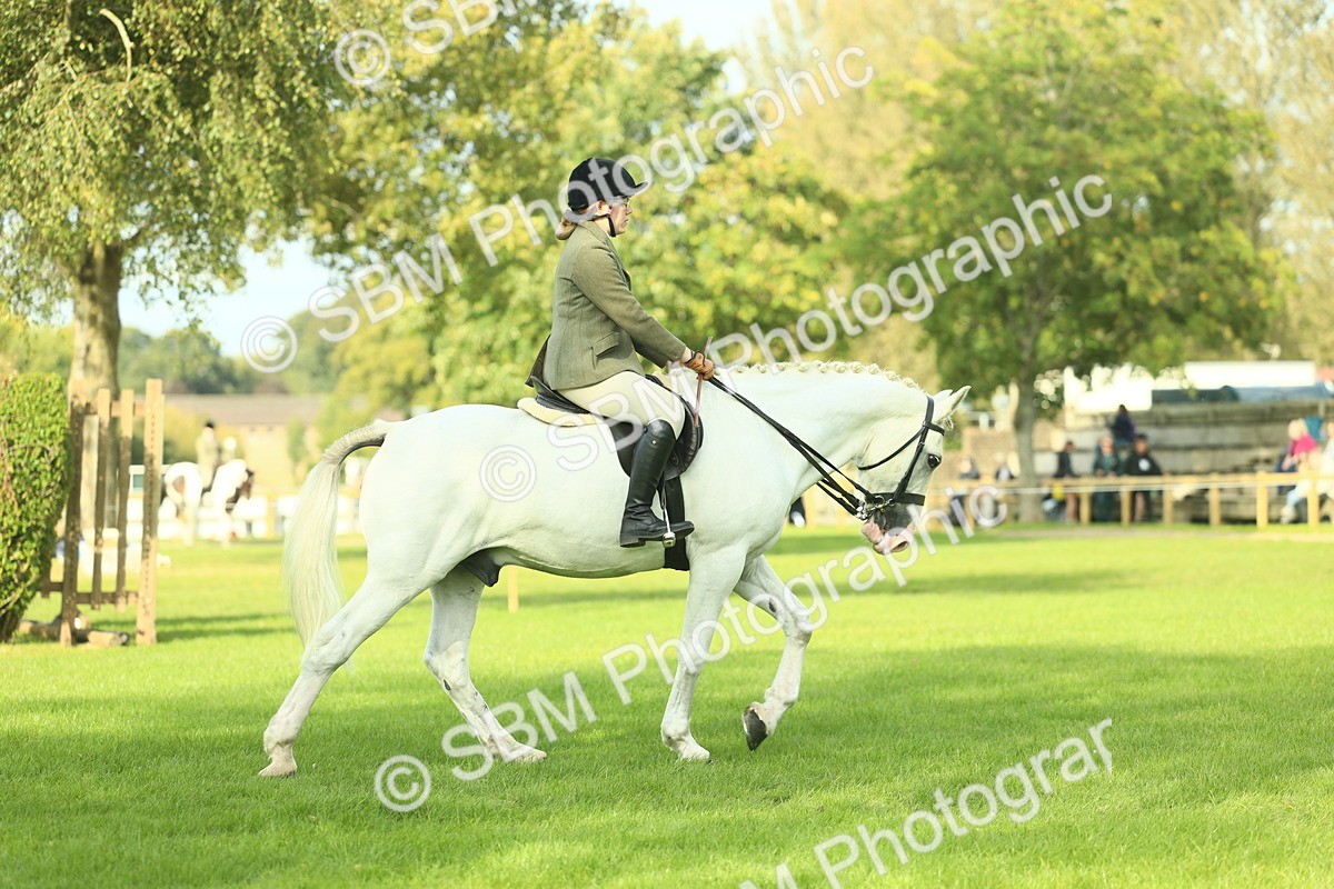 SBM_50655 - S33 - Working Hunter & Working Show Horse