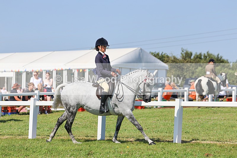 IMG_1893 - Class 33: Show Pony 148cm and under