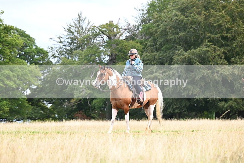 DSC_6848 - Time at Statue 12:45 to 13:15