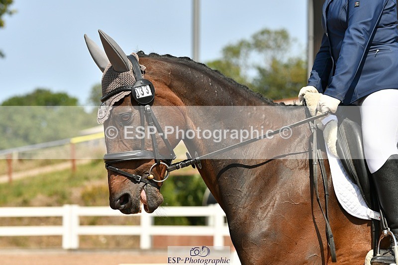 250817-133636-09996 - 033-Frankie.TorodeFirst.Impression.VI