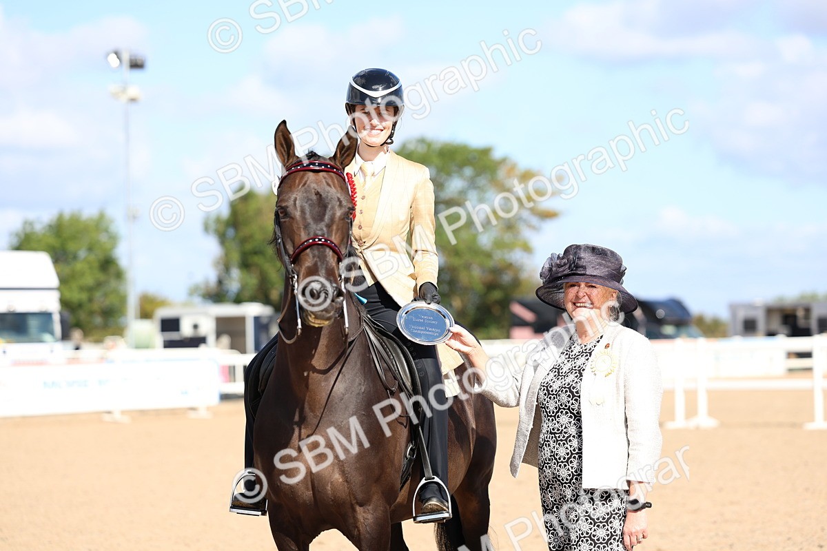 SBM_10894 - Class 305 - Ridden Foreign Breeds - Pure Bred