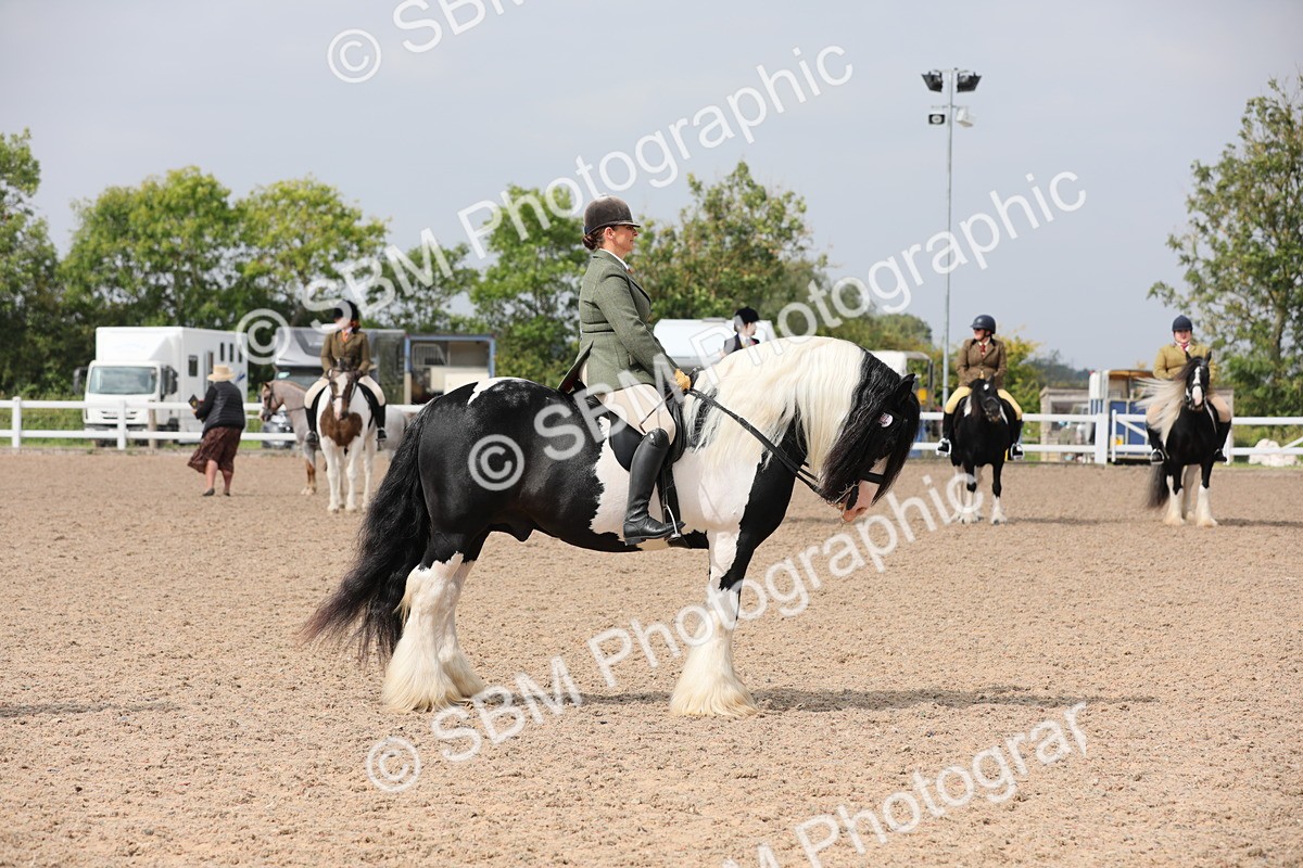 SBM_12811 - Class 307 Ridden Coloured Pony