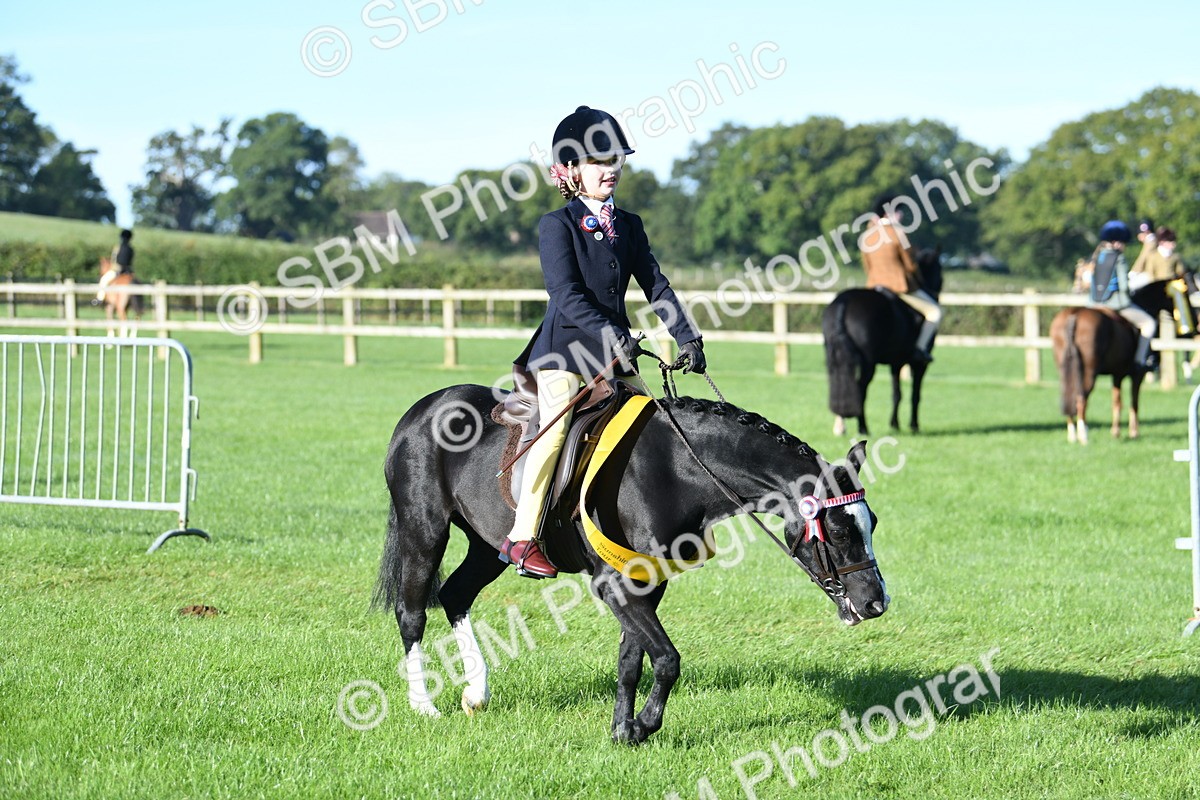 SBM_34134 - S16 - Condition & Turnout - Ridden