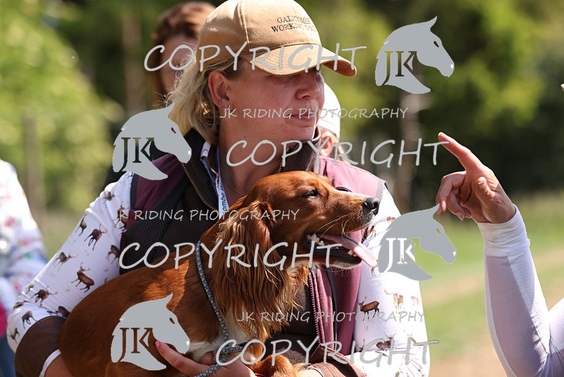 2R6A8840 - 13 Harriet