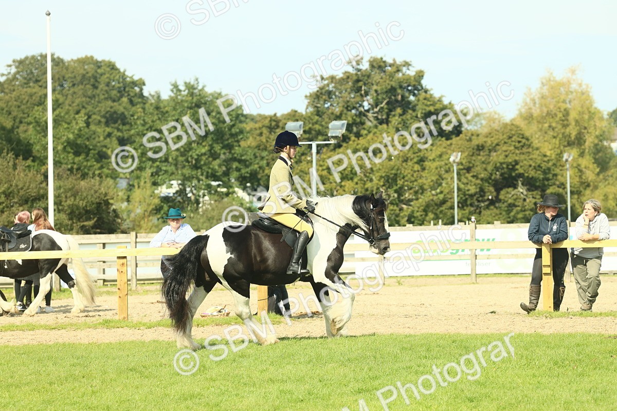 SBM_67603 - S56 - Coloured Pony Ridden